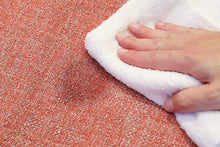 Load image into Gallery viewer, PLANETARIA TOKYO× tetra Beanbag