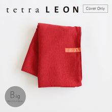 Load image into Gallery viewer, tetra Beads Cushion LEON Cover Only