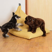 Load image into Gallery viewer, tetra Beanbag LEON