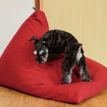 Load image into Gallery viewer, tetra Beanbag LEON