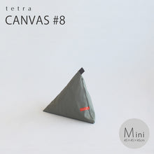 Load image into Gallery viewer, tetra Beanbag Canvas #8
