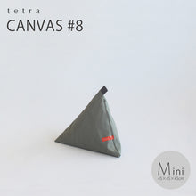 Load image into Gallery viewer, tetra Beanbag Canvas #8