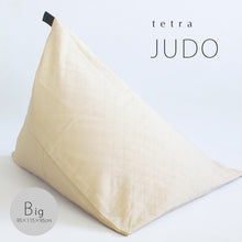 Load image into Gallery viewer, tetra Beads Cushion Judo
